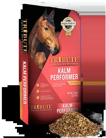 Tribute Kalm Performer