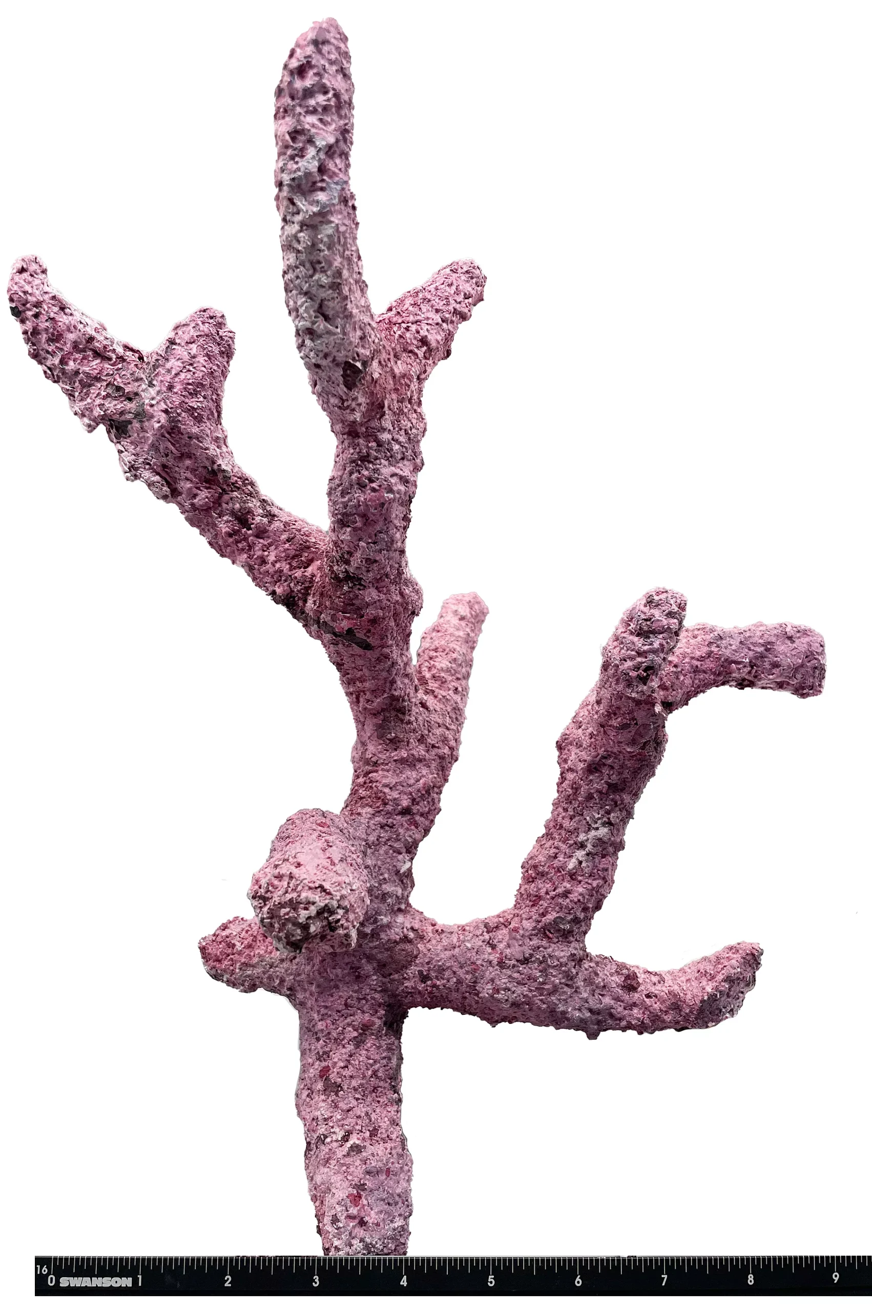 Tropic Eden Morroca Rock – Regular Branch 12-14″