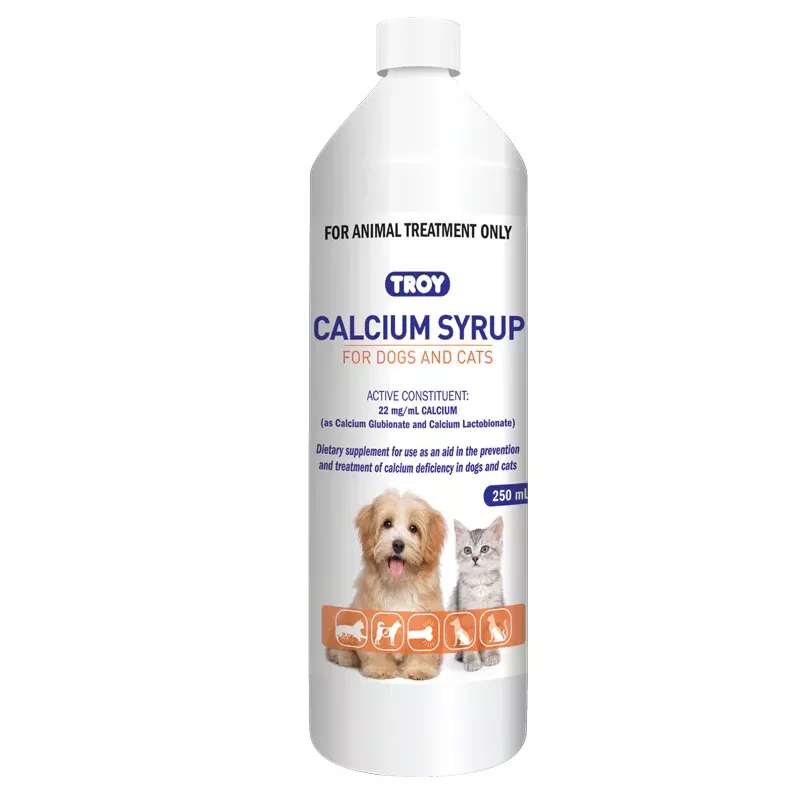 Troy Calcium Syrup