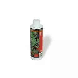 Two Little Fishies Iodine Concentrate 250 mL (8.4 fl oz)