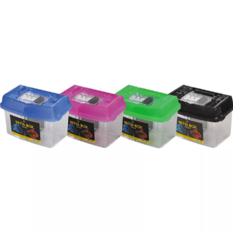 UP AQUA D-016 Betta Box (1pcs)