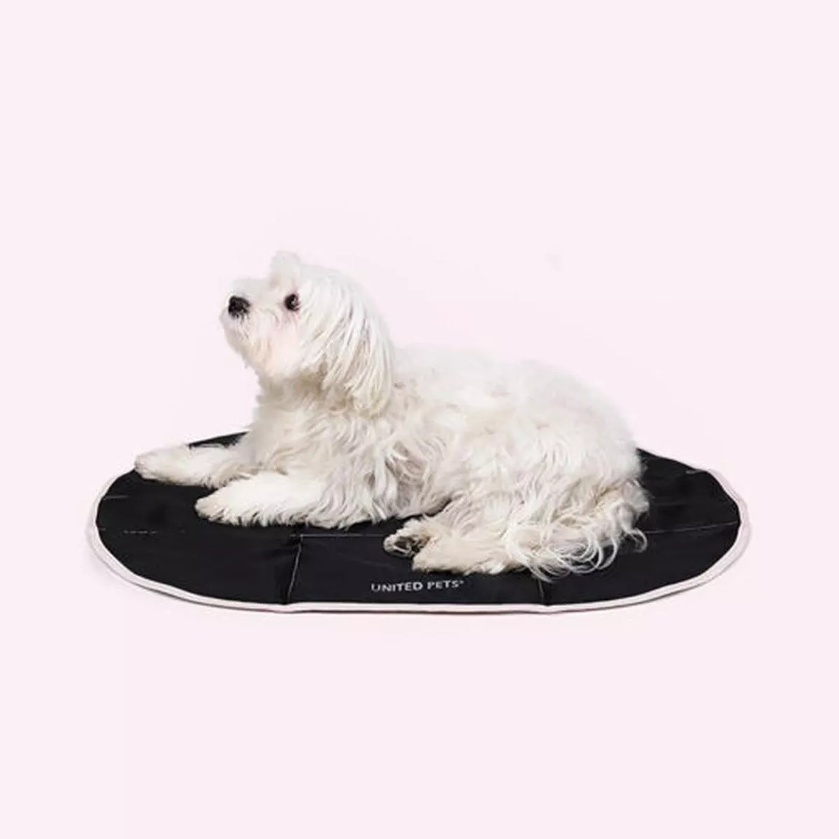 UP Cuccia Foldable -foldable dog mat 67*45cm black
