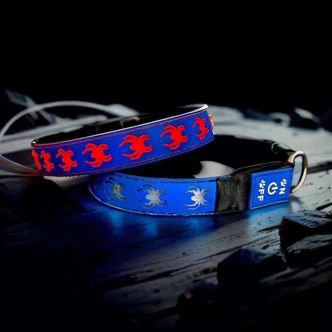 USB-C led Light up Dog Collar, 3D Design Comfortable and Soft Material,Multicolored Lighting,Night Dog Collar (BT-PING, XS(7.87-11.8″))