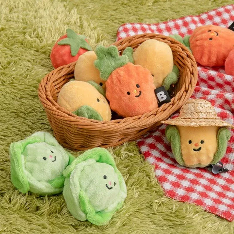 Vegetable Ball Toy