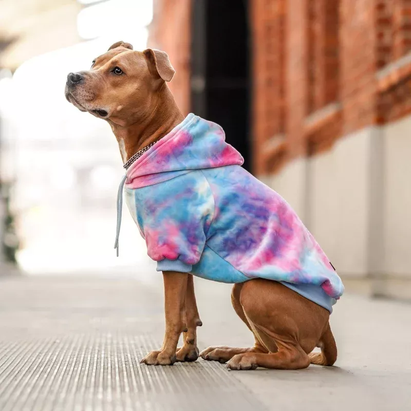 Velvet Dog Hoodie – Snow Cone
