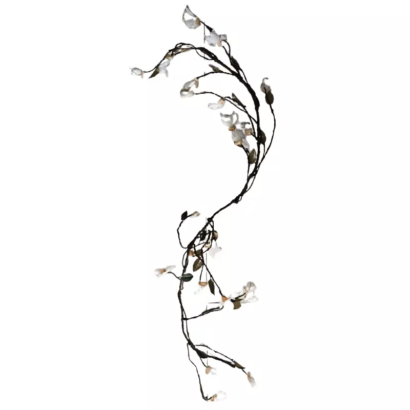Vine With White Flowers
