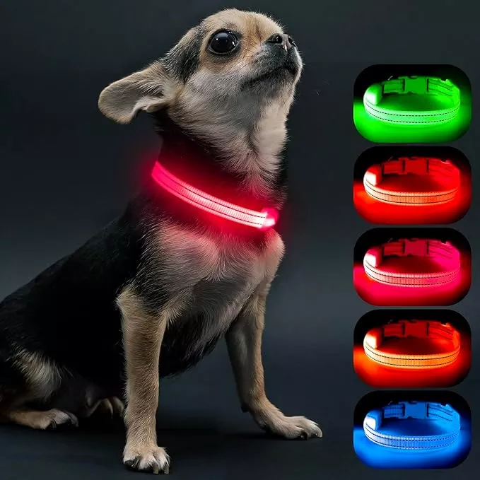 Visinite Light Up Dog Collars for Small Dogs,LED Dog Collar Light Rechargeable,Fully Adjustable Lighted Dog Collar,Glow in The Dark Dog Collars with Dog Lights for Night Walking,Blue