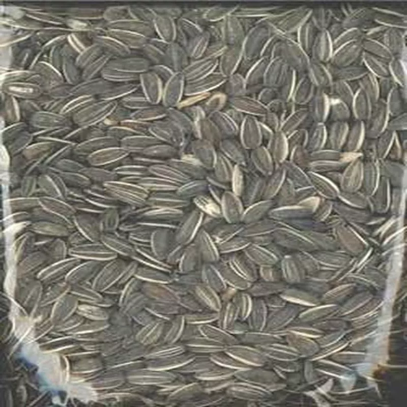 Vitakraft/Sunseed Sunflower Striped 40 lb. {L-1}220179 – Default Title