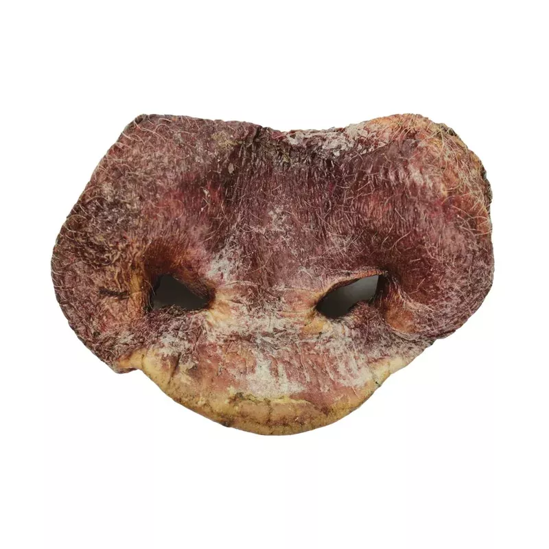 Vital Essentials Raw Bar Freeze Dried Pig Snout