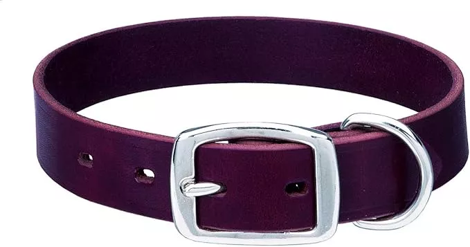 Weaver Leather Pet Heritage Choice Collar