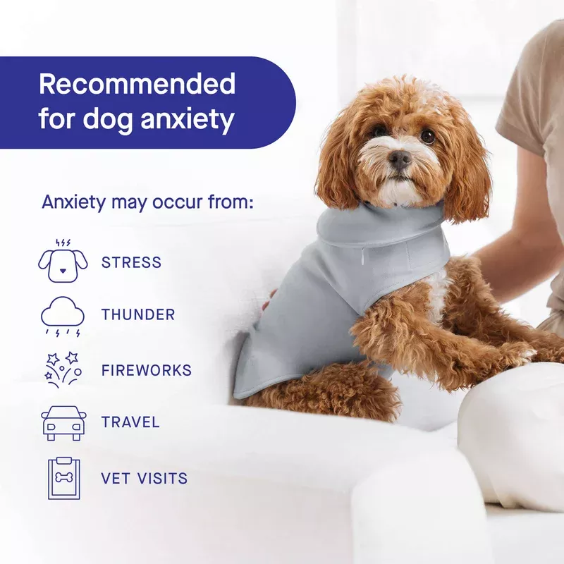 Weighted Calming Vest
