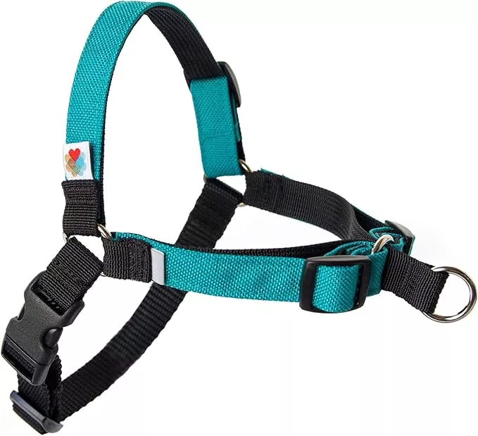 Wildebeest No Pull Dog Harness | Comfortable Training Harnesses | Effective No Pull Harness Design | Ideal for Large Sized Dog | 4-Point Adjustable(XL - 30~36 inch Girth, Olive)