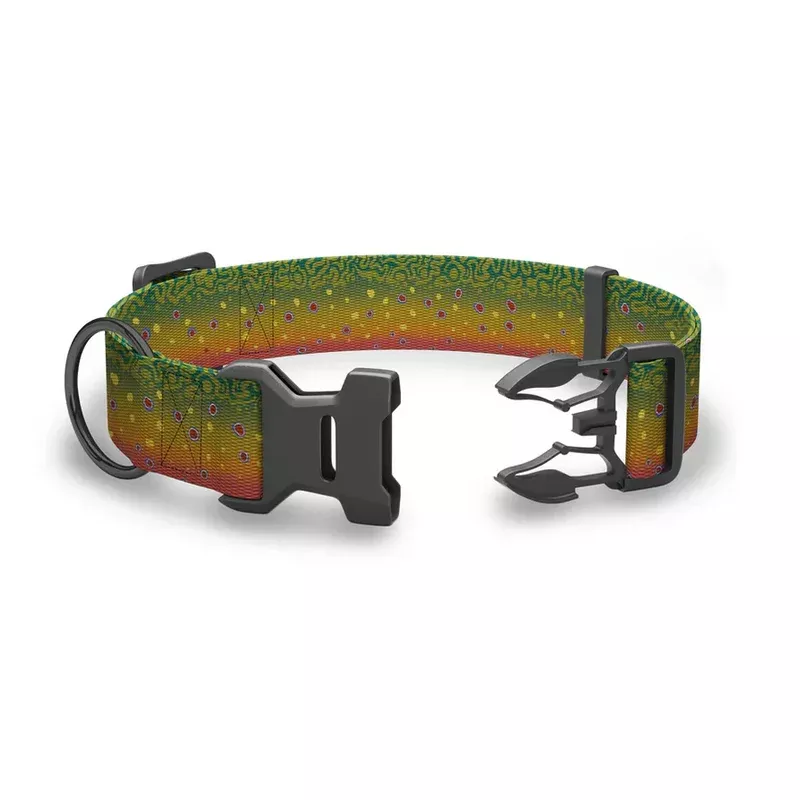 Wingo Outdoors Brook Trout Collar