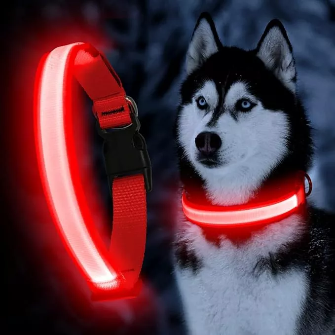 YFbrite Ultra Light Adjustable LED Dog Collar, Light up Dog Collars Rechargeable Glowing in The Dark Collars Visiblity & Safety for Small, Medium, Large Dogs (Blue, Large)