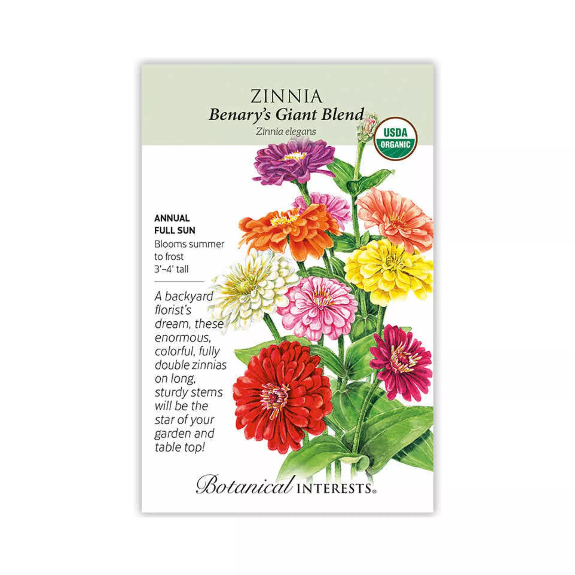 Zinnia Benary’s Giant Blend